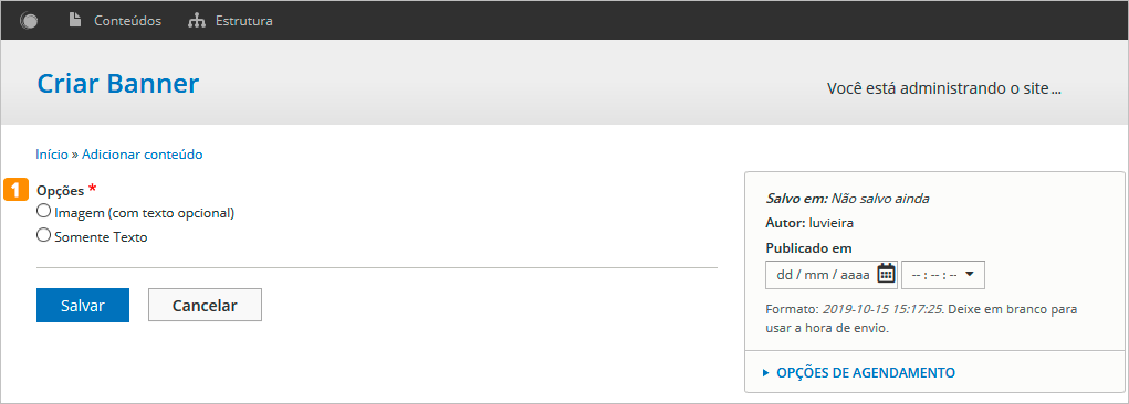 Modelo tela criar banner - selecionar opção de imagem ou texto