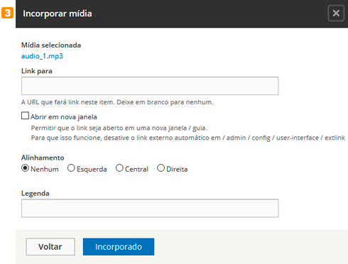 Tela 3 enviar áudio - incluir link