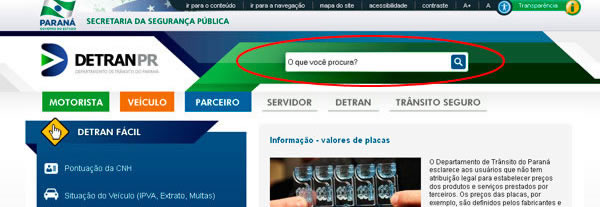 Exemplo de tela com campo de busca grande